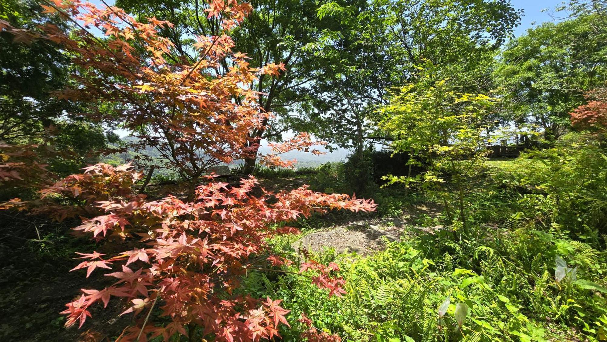Maple Map B&B Dahu Εξωτερικό φωτογραφία