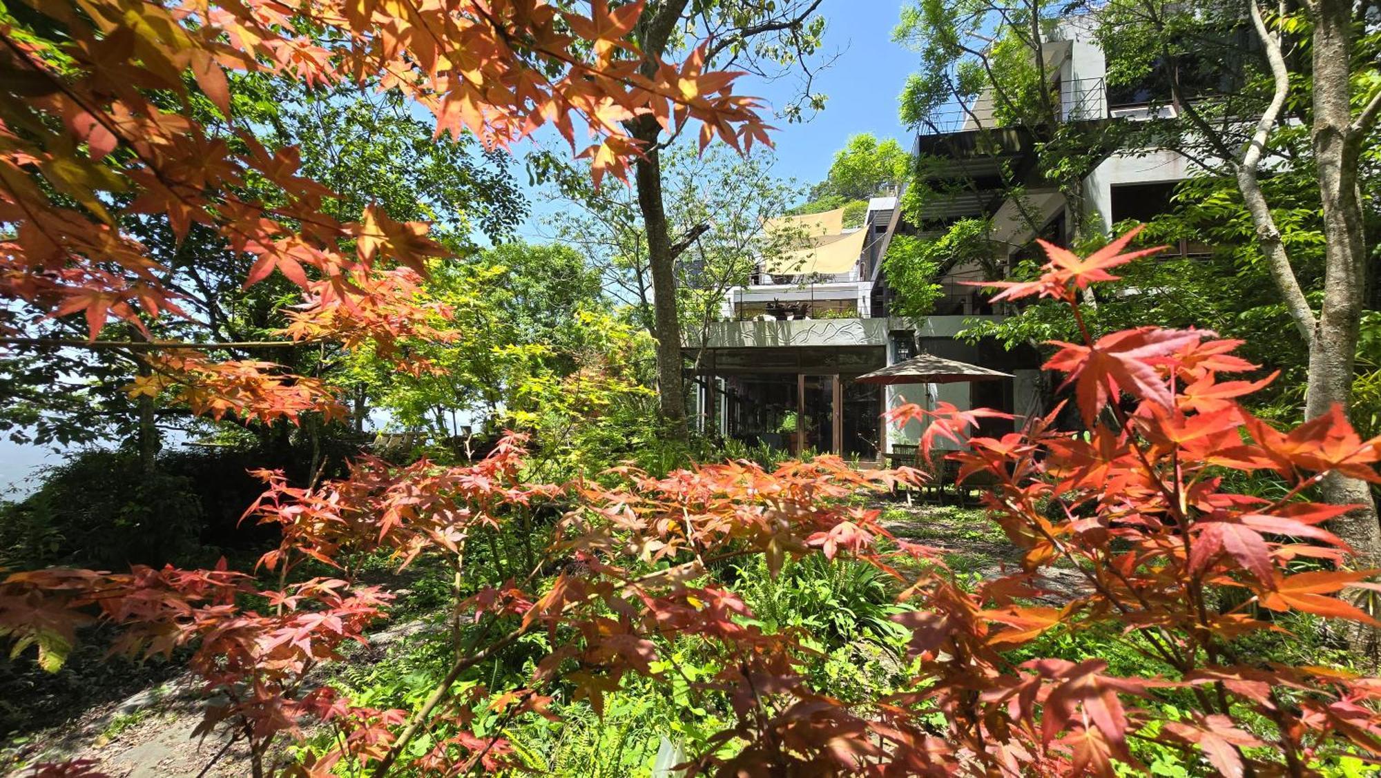 Maple Map B&B Dahu Εξωτερικό φωτογραφία